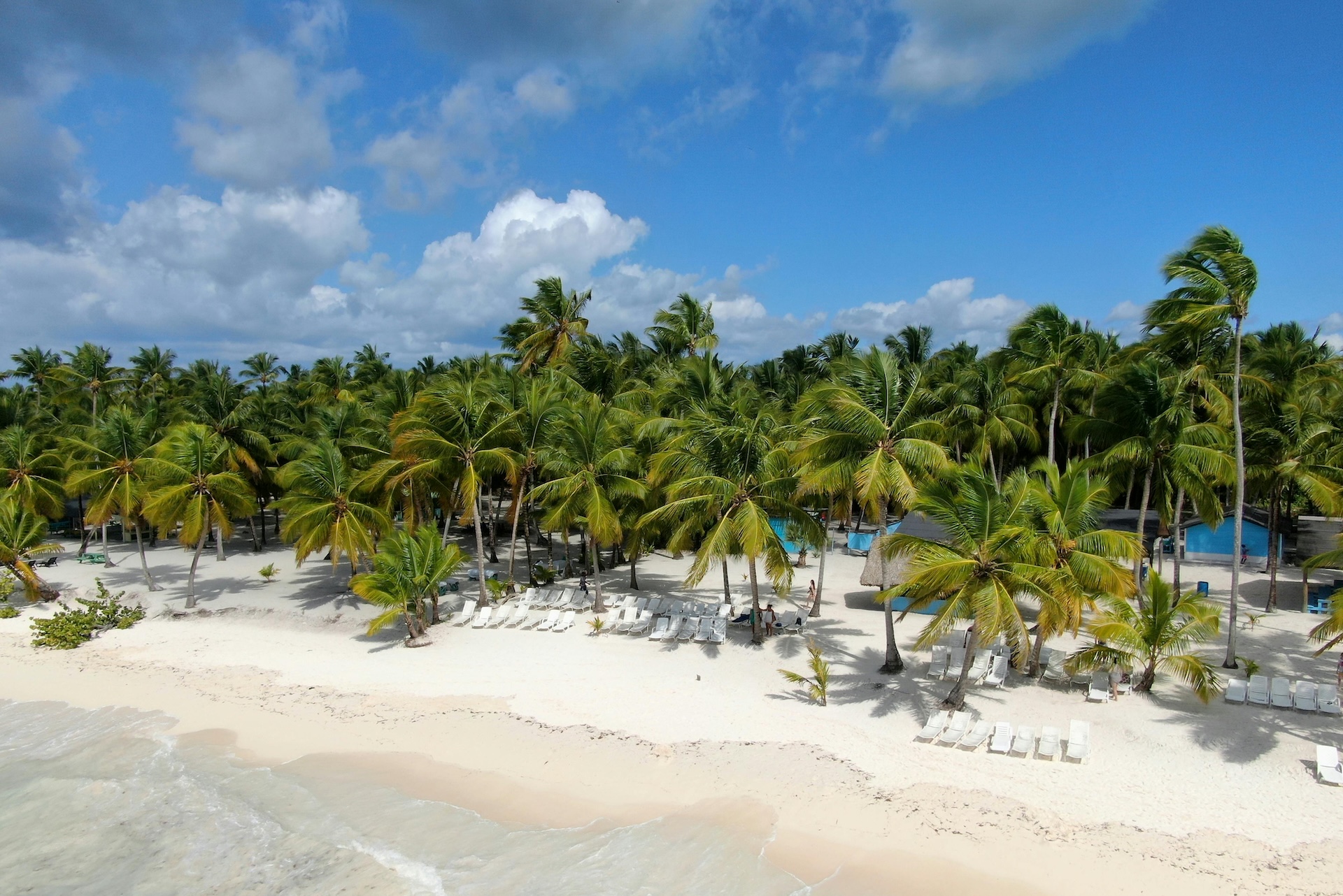 A sandy tropical beach with palm trees at a luxury resort